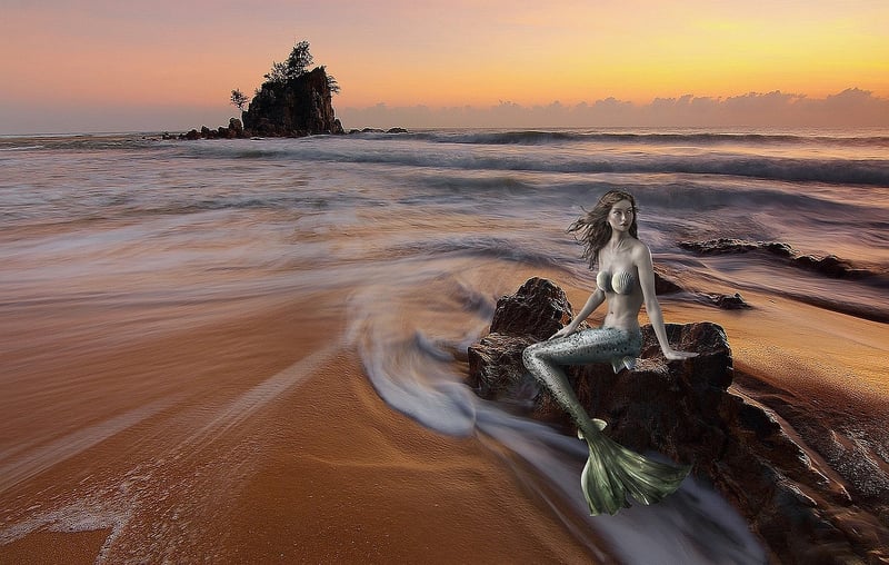 Seashell Shores Spa